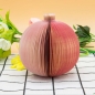 3D 석류 메모지 5p세트