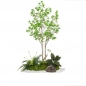 플랜테리어 실내 조경 조화 나무J(180cm)