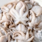 냉동 주꾸미 1kg(12미 내외)