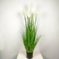 가든 팜파스그라스 갈대 조화(화이트) (120cm) 